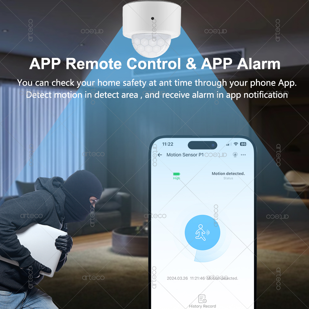 Ewelink Zigbee PIR Motion Sens - Smart Home Google Assistant บทวิจารณ์และราคา